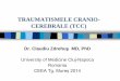TRAUMATISMELE CRANIO- CEREBRALE (TCC) - TRAUMATISMELE CRANIO-CEREBRALE (TCC) Disability 5.3 million