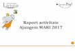 Raport activitate Ajungem MARI 2017 · Bucuresti+tara - materiale, coordonator si specialist proiect) Sponsorizare HP Ink Foundation (fonduri proiect vizite de orientare profesionala