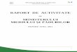 RAPORT DE ACTIVITATE - mmediu.gov.ro · economice pentru realizarea lucrărilor publice din domeniul de activitate al departamentelor apelor, mediului şi pădurilor, în limitele