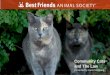 Community Cats and The Law - humanesociety.org · Ownership status - Owned - Unowned Lifestyle - Indoor only pets - Free-roaming pets - Unowned cats Socialization status - Friendly