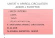 UNITAT 4 APARELL CIRCULATORI APARELL EXCRETOR MEDI … · unitat 4 aparell circulatori aparell excretor i.medi intern limfa sang lÍquid intersticial ii. anatomia aparell circulatori