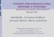 Virtuální mikroskopický atlas patologie a histologie ... · Fingerlandův ústav patologie, LF UK HK Hlavův ústav patologie, 1.LF UK Ústav histologie a embryologie, LF UK HK