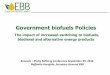 Government biofuels Policies - s3. · PDF fileGovernment biofuels Policies The impact of increased switching to biofuels, biodiesel and alternative energy products Brussels – Platts