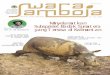 Menyelamatkan Subspesies Badak Sumaterabalitek-ksda.or.id/wp-content/uploads/2018/08/Swara-Samboja-Vol-V-No-3... · Salam Konservasi, “Menyelamatkan Subspesies Badak Kalimantan