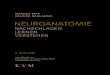 2. AUFLAGE - kvm-medizinverlag.de · der Tatsache Rechnung getragen werden, dass die Neuroanatomie nur einen gewissen Prozentsatz der prüfungsrelevanten Fragen ausmacht. Bei der