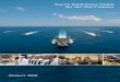 Navy’s Total Force Vision for the 21st Century Vision (Final)(11 Jan 10 1210hrs).pdf · Navy’s Total Force Vision for the 21stCentury 3 Foreword Navy’s Tota l Force Vision for