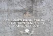 CAMPAGNES INTERNATIONALES ET AUTRES CAMPAGNES …seashepherd.info/media/rapportSSF/Rapport_Moral_2015.pdf · sa quête imprudente de récupération de ses prises, le navire braconnier