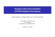 Singular Value Decomposition (SVD)/Singul£¤rwertzerlegung Singular Value Decomposition (SVD)/Singularwertzerlegung¢¨
