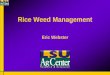 Rice Weed Management - laca1.org Weed Management... · How to Manage Hard to Control (Escaped) Mid-Season Grasses when Herbicide Programs Don’t Go As Planned