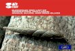 EUROPEAN RED LIST OF TERRESTRIAL MOLLUSCS: SNAILS, … · species of Mollusca globally is uncertain. Molluscs can be found in almost all habitats, from the bottom of the oceans to