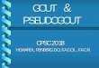 GOUT & PSEUDOGOUT - cdn.ymaws.com GOUT Hyperuricemia is not gout Gout typically follows years of asymptomatic