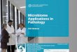 Microbiome Applications in Pathology - documents.cap.org · Substantive morbidity and mortality, particularly in immunocompromised . patients 