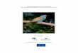 Format for the - European Commissionec.europa.eu/environment/nature/conservation/wildbirds/action_plans/... · Canan Orhun & Umberto Gallo-Orsi, Rubicon Foundation, info@rubiconfoundation.org