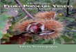 WBA Monographs 3 Scortegagna Flora PoPolare Veneta · mento animale, nell’artigianato, per la casa, il gioco, la magia e la superstizione, l’erboristeria anche veterinaria, la