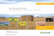 Bioenergie: die vielfältige erneuerbare Energie · 2 Vorwort Bioenergie ist Deutschlands bedeutendster erneuerbarer Energieträger und wird dies auch in absehbarer Zeit bleiben