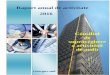 Raport anual de activitate 2016 - cspa.mdcspa.md/sites/default/files/files/Raport de activitate.pdf3 onsiliul de supraveghere a activităţii de audit – Raport de activitate anual