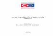 AVRUPA BİRLİĞİ BAKANLIĞI (Mülga) - sp.gov.trFaaliyet_Raporu.pdf · Avrupa Birliği Genel Sekreterliği, Türkiye’nin AB üyeliğine hazırlanmasına yönelik olarak kamu kurum