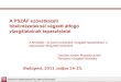 A PSZÁF szövetkezeti hitelintézeteknél végzett átfogó ... · Budapest, 2011. május 24-25. A PSZÁF szövetkezeti hitelintézeteknél végzett átfogó vizsgálatainak tapasztalatai
