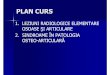 1. LEZIUNI RADIOLOGICE ELEMENTARE OSOASE ŞI ARTICULARE  · PDF fileplan curs 1. leziuni radiologice elementare osoase Şi articulare 2. sindroame În patologia osteo-articularĂ