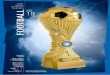 REALLY DIFFERENT TROPHIES 2019 FOOTBALL · ew ew price udes aserable aminate ware osts cludes the . the wn 3 are vailable t ost your tailer tting your wn omised ub tra osts y˚ football