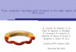 Flow, magnetic topology and transport in the edge region ...plasma.physics.wisc.edu/uploadedfiles/talk/APS-DPP10-RFPVianello687.pdf · Flow, magnetic topology and transport in the