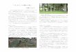 「えみしの 贈り物」 - jomon.com · 信仰 の対象 の前に、新しい 神社 を建てる 例を、 当会 ゼミ でも 東和町 の丹内山神社 や衣川村 の