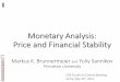 Monetary Analysis: Price and Financial Stability - Princeton · 14 Monetary Analysis: Price and Financial Stability Markus K. Brunnermeier and Yuliy Sannikov Princeton University