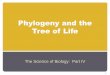Phylogeny and the Tree of Life - Augusta High School and the... · Taxonomy, Phylogeny and Systematics ... Domain, Kingdom, Phylum, Class, Order, Family, Genus, Species •Each level