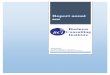 Raport anual - bci.md · de consultanţă în domeniul socio-economic şi legislativ, dezvoltarea afacerilor, elaborarea studiilor de fezabilitate, planificare strategică, proiecte