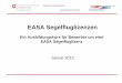 Einführung JAR-FCL 1 Amd. 4 Neuerungen / Anpassungenlesmartinets.org/2013/system/files/Segelfluglizenzen_EASA_Jan13.pdf · Ausbildungskurs EASA Part-FCL/Part-MED für Segelflieger