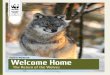 Welcome Home - WWF · Welcome Home The Return of the Wolves Student Workbook EDUCATIONAL MATERIAL