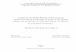 APROVIZIONARE ŞI DE PRELUCRARE A MATERIEI PRIME ÎN ...gg.unibuc.ro/wp-content/uploads/2018/05/CIORNEI-Alexandru-Viorel.pdf · Surse de materie primă, strategii de aprovizionare
