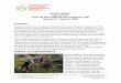PROJECT REPORT Volunteer Trip Torres del Paine National ... · Torres del Paine, Patagonia, Chile February 2018 Trip Report Page 2 . tread, the “finishing” followed, makin g the