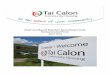 Chair and Board Member Recruitment Pack Remunerated Posts ... · 2 Welcome to Tai Calon Community Housing Thank you for expressing an interest in a board position with Tai Calon Community