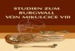 Petr Velemínský – Lumír Poláček Studien zum Burgwall von ...mikulcice.arub.cz/wp-content/uploads/2016/06/SBM8_web.pdf · Academy of Science at Mikulčice (Otto Marek, Rostislav
