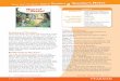 Topics and themes Summary of the story - it.pearson.com · 1 HANS AN GRT 3 es Summary of the story Hansel and Gretel is a classic tale enjoyed by pupils across the world. The story