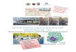 Planul de mobilitate urbană durabilă 2016-2030 Regiunea ... · Planul de mobilitate urbană durabilă 2016-2030 Regiunea București– Ilfov R aport program de instruire utilizare
