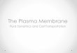 The Plasma Membrane - cheekbiology.weebly.com fileTransport Proteins •Transport proteins are needed to allow passage of polar substances across the membrane •Channel proteins,