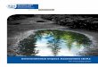 Environmental Impact Assessment (EIA) · EIA PRCESSES Western Cape Government Environmental Affairs and Development Planning 3 1. Background Environmental impact assessment (EIA)