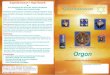 Orgon - magnolien-weg.de · Orgon Information und Produktübersicht Engel-Germanium + OrgonTechnik = Eine Verwebung der neuen Zeit, welche energetische Kraftwerke zum Vorschein bringt