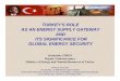 TURKEY’S ROLE AS AN ENERGY SUPPLY GATEWAY AND ITS ... · SAMSUN-CEYHAN OIL PIPELINE ROUTE. Trans-Caspian Turkmenian Gas Egyptian Gas Arab Gas PL Iraqi Gas (ITGEP) Shah Deniz Nabucco