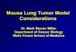 Mouse Lung Tumor Model Considerations · Mouse Lung Tumor Model Considerations Dr. Mark Steven Miller Department of Cancer Biology. Wake Forest School of Medicine . Lung Tumors in