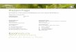 EcoNatura rapportage 2018-019 - Ecological assessment ... · EcoNatura Notitie 2018‐019 – Ecologisch onderzoek realisatie zonnepark Berkelland 1 Vraag‐ en doelstelling In verband