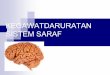 KEGAWATDARURATAN SISTEM SARAF - Hipovolemia : aliran darah ke otak berkurang, yang dpt menyeb iskemik