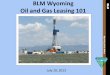 BLM Wyoming Oil and Gas Leasing 101 M 101... · competitive process Received 2 year noncompetitive offer Priority determined by date and time of receipt Adjudicate Issue noncompetitive