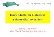 Dark Matter in Galaxies: a theoretical overview - MPAswhite/talk/IAU220.pdf · Dark Matter in Galaxies: a theoretical overview Simon D.M. White Max Planck Institute for Astrophysics