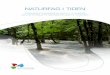 Naturfag i tideN - Center for Læring i Natur, Teknik og ... E-Rapport - Naturfag i tiden (1).pdf · PDF file7.7 Efter- og videreuddannelse 7.8 Sammenfatning Kap. 8 Erfaringer fra