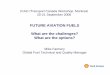 FUTURE AVIATION FUELS What are the challenges? What are ... FUTURE AVIATION FUELS What are the challenges?