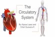 The Circulatory System - lachsa.net · Open System vs. Closed Closed circulatory systems: Blood flows through blood vessels Heart pushes blood around the body Vertebrates Open circulatory