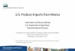 U.S. Produce Imports from Mexico - migrationfiles.ucdavis.edu · U.S. Produce Imports from Mexico. Linda Calvin and Steven Zahniser U.S.Department of Agriculture Economic Research